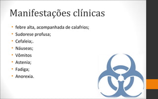 Manifestações clínicas
• febre alta, acompanhada de calafrios;
• Sudorese profusa;
• Cefaleia;.
• Náuseas;
• Vômitos
• Astenia;
• Fadiga;
• Anorexia.
 