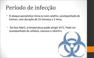 Período de infecção
• O ataque paroxístico inicia-se com calafrio, acompanhado de
tremor, com duração de 15 minutos a 1 hora;
• Na fase febril, a temperatura pode atingir 41°C. Pode ser
acompanhada de cefaleia, náuseas e vômitos.
 