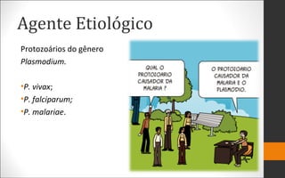 Agente Etiológico
Protozoários do gênero
Plasmodium.
•P. vivax;
•P. falciparum;
•P. malariae.
 