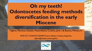 Oh my teeth! Odontocetes feeding methods diversification in the early