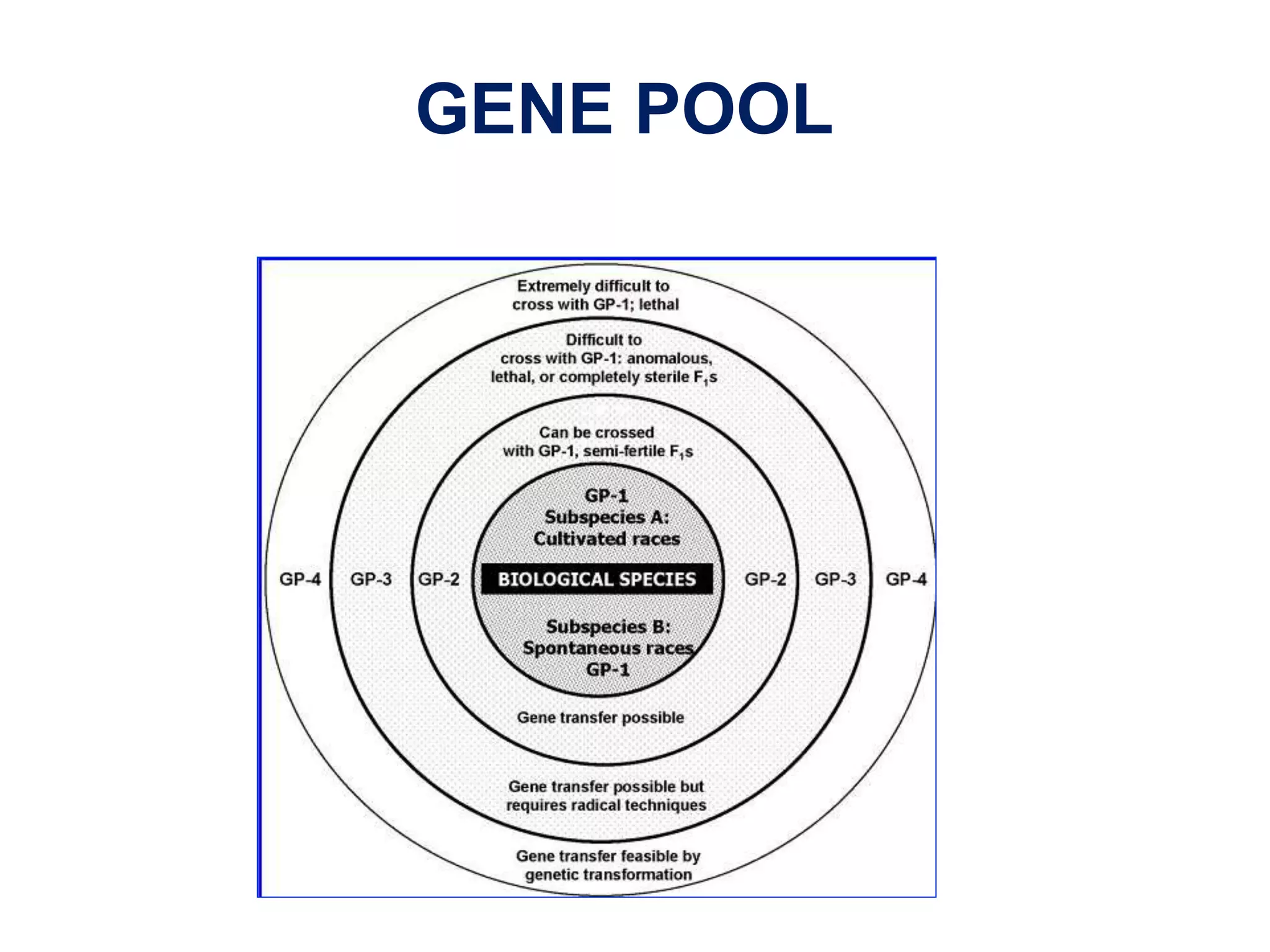 GENE POOL
 
