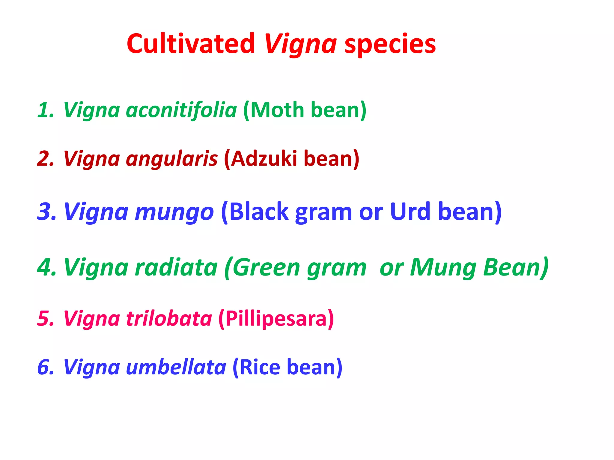 Cultivated Vigna species
1. Vigna aconitifolia (Moth bean)
2. Vigna angularis (Adzuki bean)
3. Vigna mungo (Black gram or Urd bean)
4. Vigna radiata (Green gram or Mung Bean)
5. Vigna trilobata (Pillipesara)
6. Vigna umbellata (Rice bean)
 