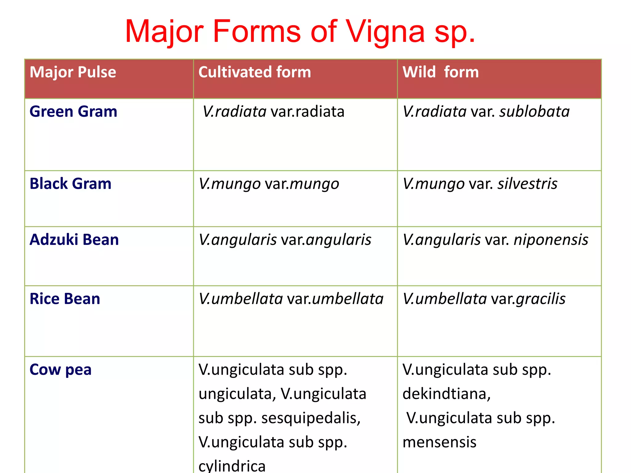 Major Pulse Cultivated form Wild form
Green Gram V.radiata var.radiata V.radiata var. sublobata
Black Gram V.mungo var.mungo V.mungo var. silvestris
Adzuki Bean V.angularis var.angularis V.angularis var. niponensis
Rice Bean V.umbellata var.umbellata V.umbellata var.gracilis
Cow pea V.ungiculata sub spp.
ungiculata, V.ungiculata
sub spp. sesquipedalis,
V.ungiculata sub spp.
cylindrica
V.ungiculata sub spp.
dekindtiana,
V.ungiculata sub spp.
mensensis
Major Forms of Vigna sp.
 