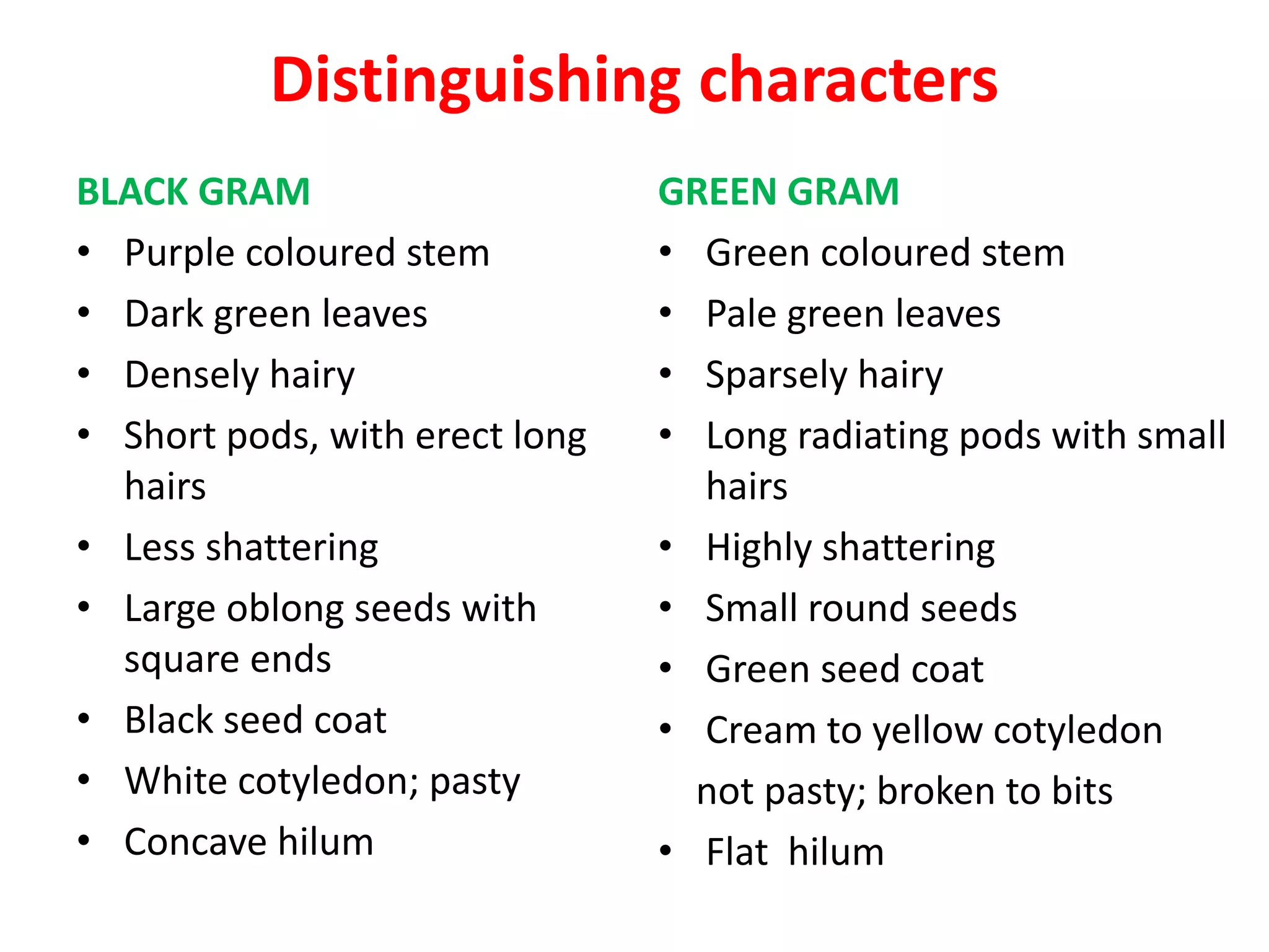 Distinguishing characters
BLACK GRAM
• Purple coloured stem
• Dark green leaves
• Densely hairy
• Short pods, with erect long
hairs
• Less shattering
• Large oblong seeds with
square ends
• Black seed coat
• White cotyledon; pasty
• Concave hilum
GREEN GRAM
• Green coloured stem
• Pale green leaves
• Sparsely hairy
• Long radiating pods with small
hairs
• Highly shattering
• Small round seeds
• Green seed coat
• Cream to yellow cotyledon
not pasty; broken to bits
• Flat hilum
 
