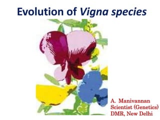 A. Manivannan
Scientist (Genetics)
DMR, New Delhi
Evolution of Vigna species
 