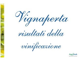 Vignaperta
risultati della
 vinificazione
 