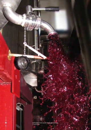  Écoulage d’une cuve de vinification en rouge.
© F. Dell’Ova/UEPR
Vigneetvin
28
 