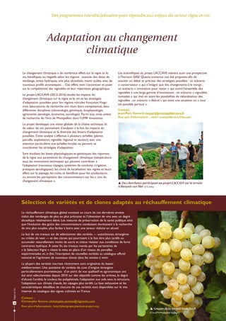 Dossier Agropolis International n°21 : vigne et vin - novembre 2015