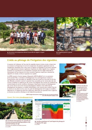 Dossier Agropolis International n°21 : vigne et vin - novembre 2015