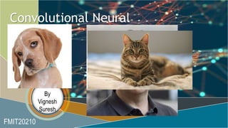Convolutional Neural
Networks
By
Vignesh
Suresh
FMIT20210
 