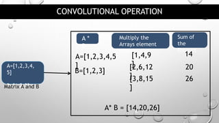 Convolutional Neural Network | PPTX