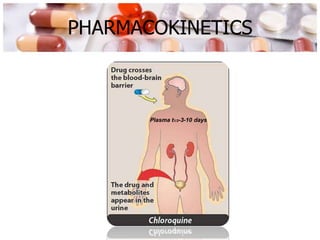 PHARMACOKINETICS
Plasma t1/2-3-10 days
 