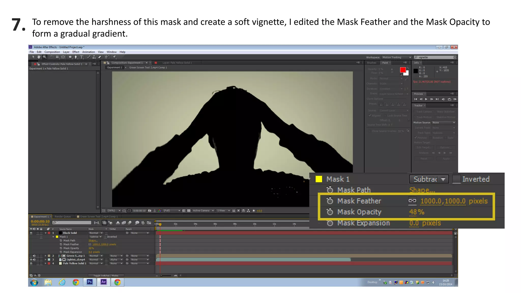 To remove the harshness of this mask and create a soft vignette, I edited the Mask Feather and the Mask Opacity to form a gradual gradient. 
7. 