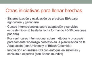 Ejemplos en llenar brechas hacia la acción en la adaptación de territorios de America Latina