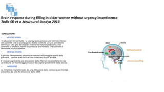 Brain response during filling in older women without urgency incontinence
Tadic SD et a .Neurourol Urodyn 2013
CONCLUSIONI:
• VESCICA PIENA
In situazioni di normalità , la vescica piena provoca uno stimolo intenso
nel paziente che si accompagna a livello cerebrale ad una iperattività
dell’insula ,del giro del cingolo e dell’area motoria accessoria, che
controlla lo sfintere ,mentre la corteccia pre-frontale, che controlla il
detrusore, risulta ipoattiva.
• VESCICA VUOTA
A piccolo riempimento, situazione comune nella maggior parte della
giornata , queste aree corticali non mostrano alcuna attività
E’ viceversa presenta una attivazione della PAG nel mesencefalo che sta
ad indicare un monitoraggio incoscio dei segnali provenienti dalla vescica
• MINZIONE
La minzione è caratterizzata da una attivazione della corteccia pre-frontale
preceduta da una de-attivazione della SMA
 
