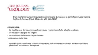 Brain mechanisms underlying urge incontinence and its response to pelvic floor muscle training.
Griffiths D,Clarkson B,Tadic SD,Resnick NM J.Urol 2015
CONCLUSIONI:
La riabilitazione del pavimento pelvico induce reazioni specifiche a livello cerebrale:
- deattivazione del giro del cingolo
- deattivazione della corteccia pre-frontale
Attivazione della SMA
- Quando questi eventi non si verificano esistono probabilmente altri fattori da identificare nella
genesi dell’incontinenza da urgenza
 