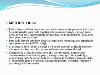 METODOLOGIA:Existe duas medidas de caixas de acondicionamento: pequena (26 x 16 x 8,5 cm), usadas para cada repetição de 50 ou 100 sementes e a grande (47 x 30 X 11 cm), onde se pode colocar quatro a seis divisões , cada uma com 50 ou 100 sementes.Para cada lote de semente, deve-se testar pelo menos quatro repetições com 50 sementes (AOSA, 1983).O substrato deve ter 2/3 de areia e 1/3 de solo; o solo utilizado deve ser da camada arável do solo, onde o milho esteja sendo cultivado.Quando são utilizados solos com alto teor de argila, a proporção areia/solo deve ser elevada para 3:1, enquanto a quantidade de água deve atingir 60% da capacidade de retenção da mistura, caso contrário, o  excesso de água e a redução da aeração podem, inclusive, impedir a germinação das sementes. 