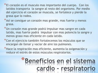 *El corazón es el musculo mas importante del cuerpo. Con los 
latidos transporta la sangre al resto del organismo. Por medio 
del ejercicio el corazón se muscula, se fortalece y pierde la 
grasa que lo rodea. 
*Así se consigue un corazón mas grande, mas fuerte y menos 
grasa. 
*Un corazón mas grande podrá impulsar mas sangre en cada 
latido, mas fuerte podrá impulsar con mas potencia la sangre y 
menos graso mas eficiente en cada latido. 
*Con el ejercicio también fortalecemos los músculos que se 
encargan de llenar y vaciar de aire los pulmones. 
*Hace la respiración mas eficiente, aumenta la oxigenación y 
reduce el estrés de estos músculos respiratorios. 
* 
 