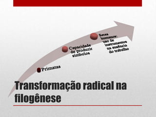 Transformação radical na
filogênese
 