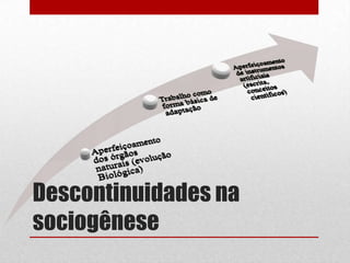 Descontinuidades na
sociogênese
 