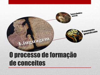 O processo de formação
de conceitos
 