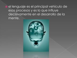 el lenguaje es el principal vehículo de esos procesos y es lo que influye decisivamente en el desarrollo de la mente.