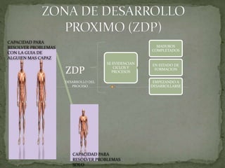 ZDP
SE EVIDENCIAN
CICLOS Y
PROCESOS
MADUROS
COMPLETADOS
EN ESTADO DE
FORMACION
EMPEZANDO A
DESARROLLARSE
DESARROLLO DEL
PROCESO
CAPACIDAD PARA
RESOLVER PROBLEMAS
CON LA GUIA DE
ALGUIEN MAS CAPAZ
CAPACIDAD PARA
RESOLVER PROBLEMAS
SOLO
 