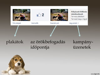plakátok az örökbefogadás
időpontja
kampány-
üzenetek
 
