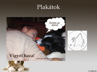 Plakátok
 