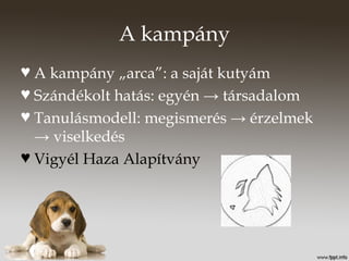 A kampány
♥ A kampány „arca”: a saját kutyám
♥ Szándékolt hatás: egyén → társadalom
♥ Tanulásmodell: megismerés → érzelmek
→ viselkedés
♥ Vigyél Haza Alapítvány
 