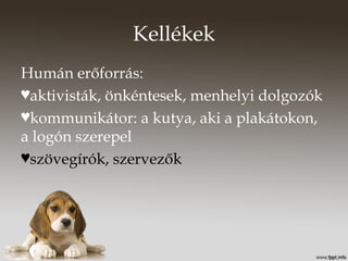 Kellékek
Humán erőforrás:
♥aktivisták, önkéntesek, menhelyi dolgozók
♥kommunikátor: a kutya, aki a plakátokon,
a logón szerepel
♥szövegírók, szervezők
 