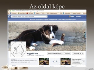 Az oldal képe
 