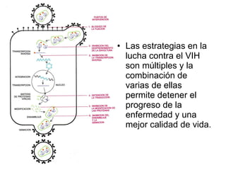 Las estrategias en la lucha contra el VIH son múltiples y la combinación de varias de ellas permite detener el progreso de la enfermedad y una mejor calidad de vida. 