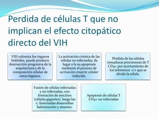 Perdida de células T que no implican el efecto citopático directo del VIH