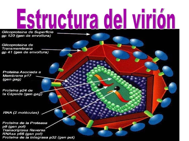 VIH