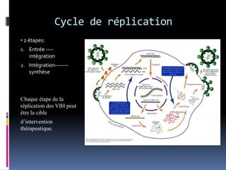 Cycle de réplication 
• 2 étapes: 
1. Entrée ---- 
intégration 
2. Intégration------- 
synthèse 
Chaque étape de la 
réplication des VIH peut 
être la cible 
d’intervention 
thérapeutique. 
 