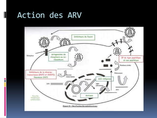 Action des ARV 
 