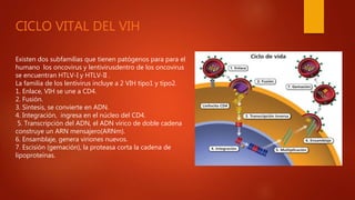 CICLO VITAL DEL VIH
Existen dos subfamilias que tienen patógenos para para el
humano los oncovirus y lentivirusdentro de los oncovirus
se encuentran HTLV-I y HTLV-II .
La familia de los lentivirus incluye a 2 VIH tipo1 y tipo2.
1. Enlace, VIH se une a CD4.
2. Fusión.
3. Síntesis, se convierte en ADN.
4. Integración, ingresa en el núcleo del CD4.
5. Transcripción del ADN, el ADN vírico de doble cadena
construye un ARN mensajero(ARNm).
6. Ensamblaje, genera viriones nuevos.
7. Escisión (gemación), la proteasa corta la cadena de
lipoproteínas.
 