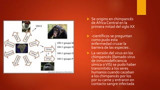  Se origino en chimpancés
de África Central en la
primera mitad del siglo XX
.
 -científicos se preguntan
como pudo esta
enfermedad cruzar la
barrera de las especies .
 La versión del virus en los
chimpancés (llamado virus
de inmunodeficiencia
símica oVIS) se pudo haber
transmitido a los seres
humanos cuando cazaban
a los chimpancés por los
por su carne y entraron en
contacto sangre infectada.
 