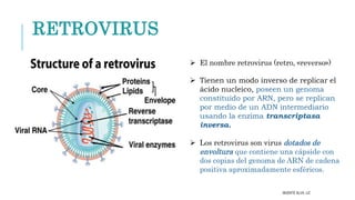 Retrotranscriptasa Inversa virus de la inmunodeficiencia humana: conceptos básicos | PPTX