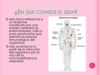 ¿EN QUE CONSISTE EL SIDA?
El sida hace referencia a
   un síndrome
   constituido por una
   amplia variedad de
   enfermedades, infecci
   ones oportunistas que
   atentan es sistema
   inmunológico del
   organismo.
El sida se produce a
   partir de la infección
   del organismo por el
   virus de la
   inmunodeficiencia
   adquirida.
 