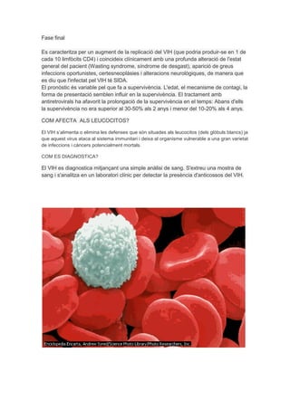 Fase final

Es caracteritza per un augment de la replicació del VIH (que podria produir-se en 1 de
cada 10 limfòcits CD4) i coincideix clínicament amb una profunda alteració de l'estat
general del pacient (Wasting syndrome, síndrome de desgast), aparició de greus
infeccions oportunistes, certesneoplàsies i alteracions neurològiques, de manera que
es diu que l'infectat pel VIH té SIDA.
El pronòstic és variable pel que fa a supervivència. L'edat, el mecanisme de contagi, la
forma de presentació semblen influir en la supervivència. El tractament amb
antiretrovirals ha afavorit la prolongació de la supervivència en el temps: Abans d'ells
la supervivència no era superior al 30-50% als 2 anys i menor del 10-20% als 4 anys.

COM AFECTA ALS LEUCOCITOS?

El VIH s’alimenta o elimina les defenses que són situades als leucocitos (dels glòbuls blancs) ja
que aquest virus ataca al sistema immunitari i deixa al organisme vulnerable a una gran varietat
de infeccions i càncers potencialment mortals.

COM ES DIAGNOSTICA?

El VIH es diagnostica mitjançant una simple anàlisi de sang. S'extreu una mostra de
sang i s'analitza en un laboratori clínic per detectar la presència d'anticossos del VIH.
 