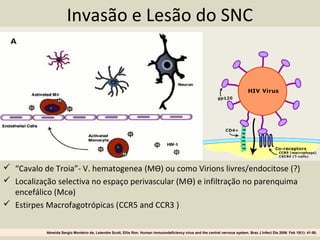 Invasão e Lesão do SNC
 “Cavalo de Troia”- V. hematogenea (MѲ) ou como Virions livres/endocitose (?)
 Localização selectiva no espaço perivascular (MѲ) e infiltração no parenquima
encefálico (Mcѳ)
 Estirpes Macrofagotrópicas (CCR5 and CCR3 )
Almeida Sergio Monteiro de, Letendre Scott, Ellis Ron. Human immunodeficiency virus and the central nervous system. Braz J Infect Dis 2006 Feb 10(1): 41-50.
 