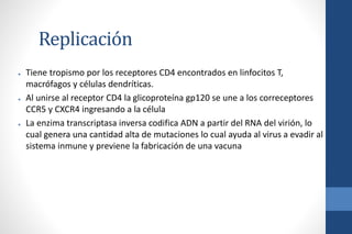 Replicación
● Tiene tropismo por los receptores CD4 encontrados en linfocitos T,
macrófagos y células dendríticas.
● Al unirse al receptor CD4 la glicoproteína gp120 se une a los correceptores
CCR5 y CXCR4 ingresando a la célula
● La enzima transcriptasa inversa codifica ADN a partir del RNA del virión, lo
cual genera una cantidad alta de mutaciones lo cual ayuda al virus a evadir al
sistema inmune y previene la fabricación de una vacuna
 