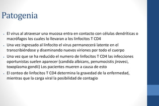Patogenia
● El virus al atravesar una mucosa entra en contacto con células dendríticas o
macrófagos los cuales lo llevaran a los linfocitos T CD4
● Una vez ingresado al linfocito el virus permanecerá latente en el
transcribiéndose y diseminando nuevos viriones por todo el cuerpo
● Una vez que se ha reducido el numero de linfocitos T CD4 las infecciones
oportunistas suelen aparecer (candida albicans, penumocistis jiroveci,
toxoplasma gondii) Los pacientes mueren a causa de esto
● El conteo de linfocitos T CD4 determina la gravedad de la enfermedad,
mientras que la carga viral la posibilidad de contagio
 
