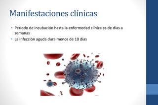 Manifestaciones clínicas
• Periodo de incubación hasta la enfermedad clínica es de días a
semanas
• La infección aguda dura menos de 10 días
 