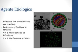 Agente Etiológico
● Retrovirus RNA monocatenario
con envoltura
● Pertenece a la familia de los
lentivirus
● VIH 1. Mayor parte de las
infecciones
● VIH 2. Mas frecuente en África
 