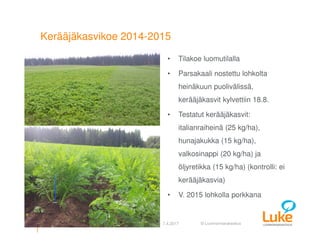 © Luonnonvarakeskus
Kerääjäkasvikoe 2014-2015
• Tilakoe luomutilalla
• Parsakaali nostettu lohkolta
heinäkuun puolivälissä,
kerääjäkasvit kylvettiin 18.8.
• Testatut kerääjäkasvit:
italianraiheinä (25 kg/ha),
hunajakukka (15 kg/ha),
valkosinappi (20 kg/ha) ja
öljyretikka (15 kg/ha) (kontrolli: ei
kerääjäkasvia)
• V. 2015 lohkolla porkkana
10 7.4.2017Pirjo Kivijärvi
 