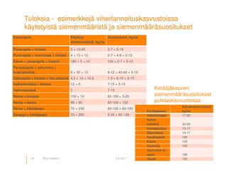 © Luonnonvarakeskus
Tuloksia - esimerkkejä viherlannoituskasvustoissa
käytetyistä siemenmääristä ja siemenmääräsuositukset
11 7.4.2017Pirjo Kivijärvi
Kasvi/seos Käytetyt
siemenmäärät, kg/ha
Suositukset, kg/ha
Puna-apila + timotei 5 + 10-20 2-7 + 5-15
Puna-apila + nurminata + timotei 4 + 10 + 10 2-7 + 4-8 + 5-15
Kaura + puna-apila + timotei 180 + 5 + 10 150 + 2-7 + 5-15
Persianapila + rehuvirna +
engl.raiheinä 8 + 30 + 10 8-12 + 40-60 + 5-15
Valkoapila + timotei + ital.raiheinä 4,5 + 10 + 10,5 1-3 + 6-15 + 5-15
Valkomesikkä + timotei 12 + 6 7-15 + 5-15
Valkomesikkä 7 7-15
Herne + sinappi 100 + 10 60-100 + 5-20
Herne + kaura 90 + 90 60-100 + 150
Herne + härkäpapu 70 + 230 60-100 + 60-120
Sinappi + härkäpapu 20 + 250 5-20 + 60-120
Kerääjäkasvi
Kylvösiemenmäärä,
kg/ha
Valkosinappi 17-20
Italian
raiheinä 20-30
Hunajakukka 10-17
Öljyretikka 10-17
Kevätvehnä 180
Kaura 125
Syysruis 100
Syysrypsi ja -
rapsi 180
Virnat 100
Kerääjäkasvien
siemenmääräsuositukset
puhdaskasvustoissa
 