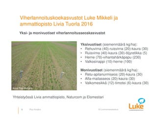 © Luonnonvarakeskus
Yksi- ja monivuotiset viherlannoitusseoskasvustot
9
Yksivuotiset (siemenmäärä kg/ha):
• Rehuvirna (40)-ruisvirna (20)-kaura (30)
• Ruisvirna (40)-kaura (30)-öljyretikka (5)
• Herne (70)-vihantahärkäpapu (230)
• Valkosinappi (10)-herne (100)
Monivuotiset (siemenmäärä kg/ha):
• Retu-apilanurmiseos (20)-kaura (30)
• Alfa-mailasseos (20)-kaura (30)
• Valkomesikkä (12)-timotei (6)-kaura (30)
Yhteistyössä Livia ammattiopisto, Naturcom ja Elomestari
Kuva Pirjo Kivijärvi
Viherlannoituskoekasvustot Luke Mikkeli ja
ammattiopisto Livia Tuorla 2016
Pirjo Kivijärvi
 